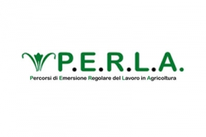 Workshop territoriali, a breve si comincia